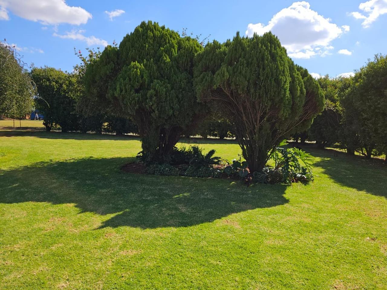 Aloe Tree Guest House Krugersdorp Exteriér fotografie